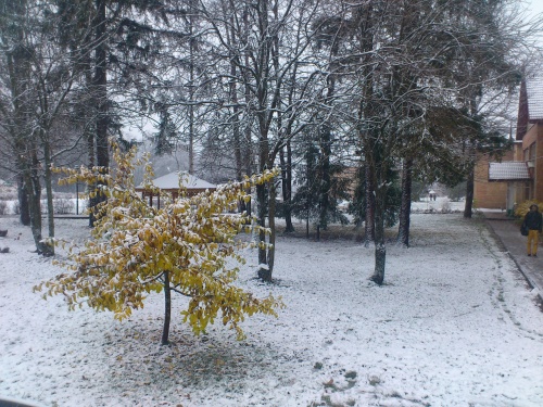 Der erste Schnee